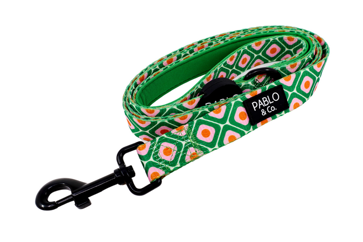 70s Style Dog Leash