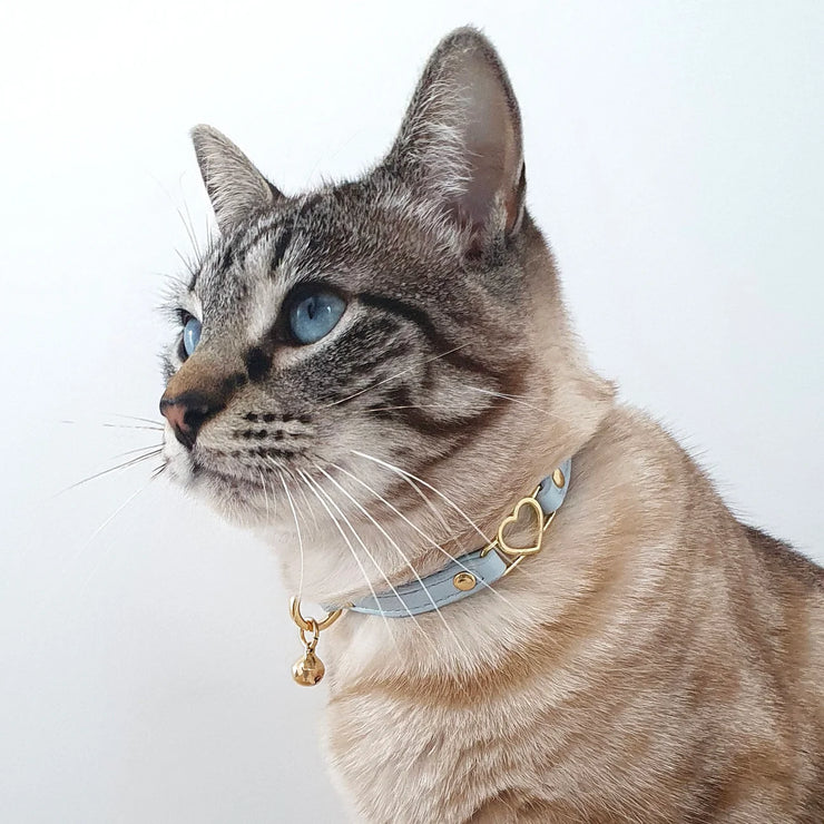 Cat Collar - Sky Blue