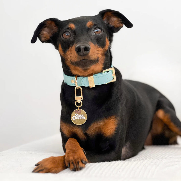 Pet Collar Charm - Sass Queen