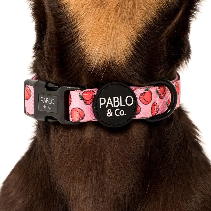 Peach Dog Collar